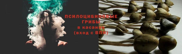 MDMA Premium VHQ Беломорск