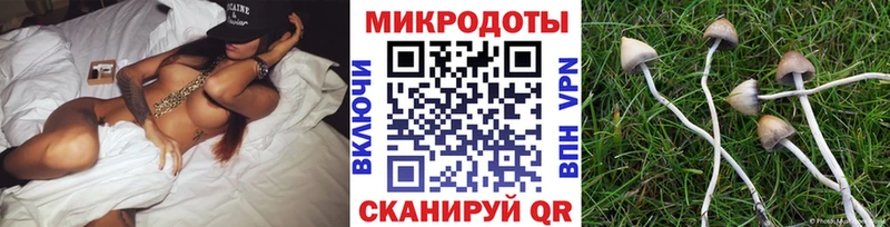 Галлюциногенные грибы прущие грибы  что такое   Куса 